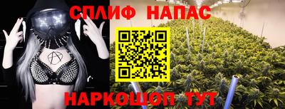 ПСИЛОЦИБИНОВЫЕ ГРИБЫ Гусев
