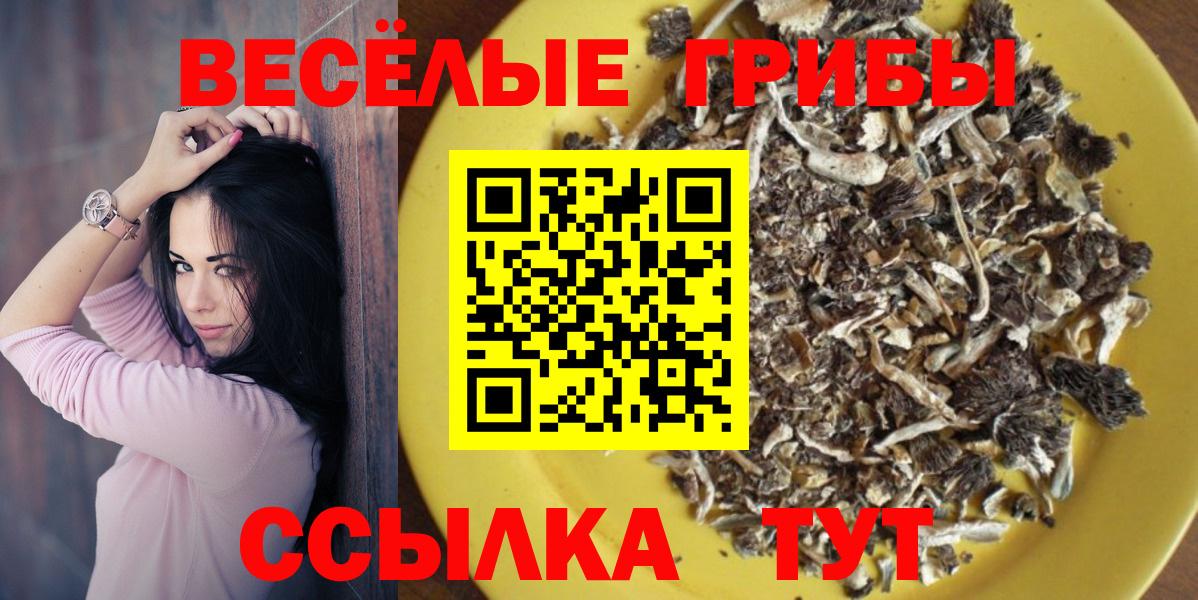 Псилоцибиновые грибы MAGIC MUSHROOMS Ликино-Дулёво