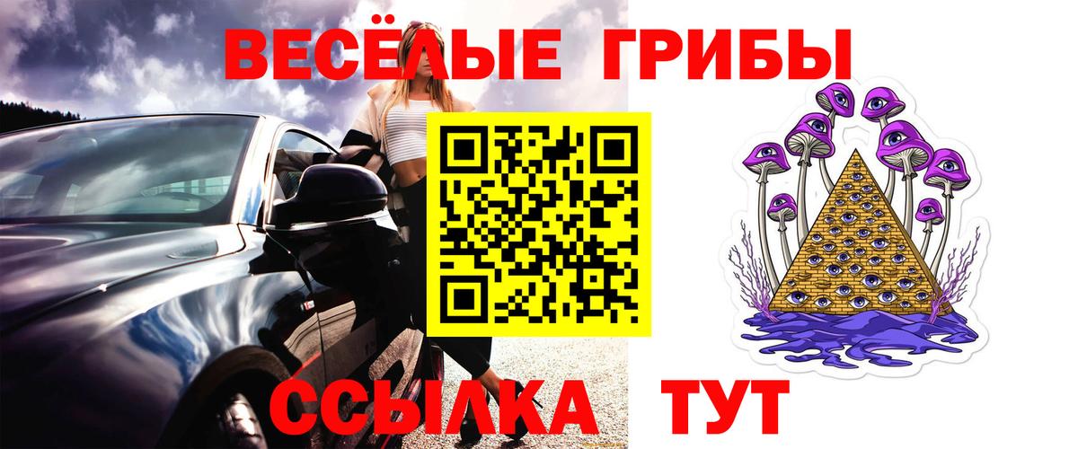 Ликино-Дулёво  Галлюциногенные грибы Psilocybe  Вход с VPN  Псилоцибиновые грибы GOLDEN TEACHER 